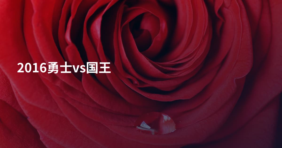 2016勇士vs国王