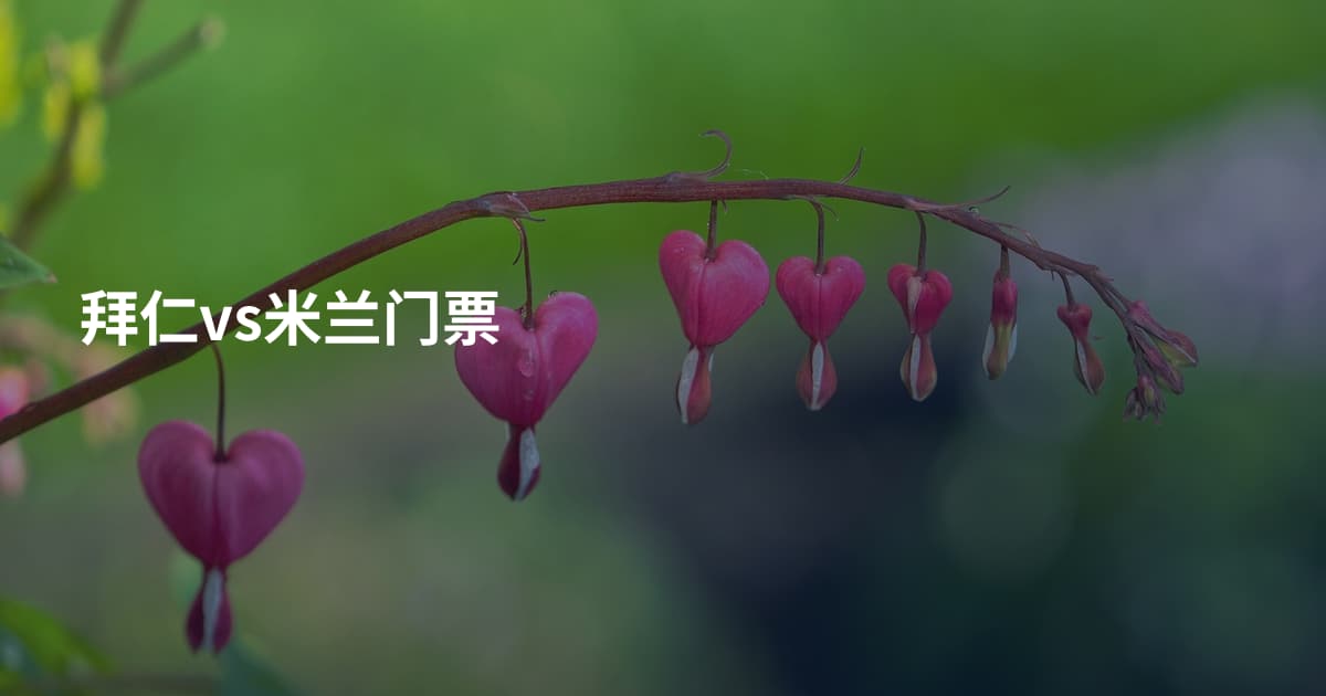 拜仁vs米兰门票