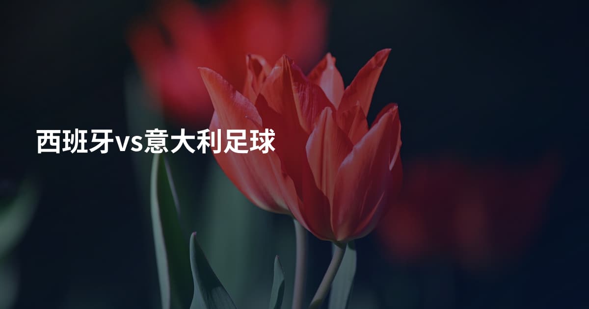 西班牙vs意大利足球