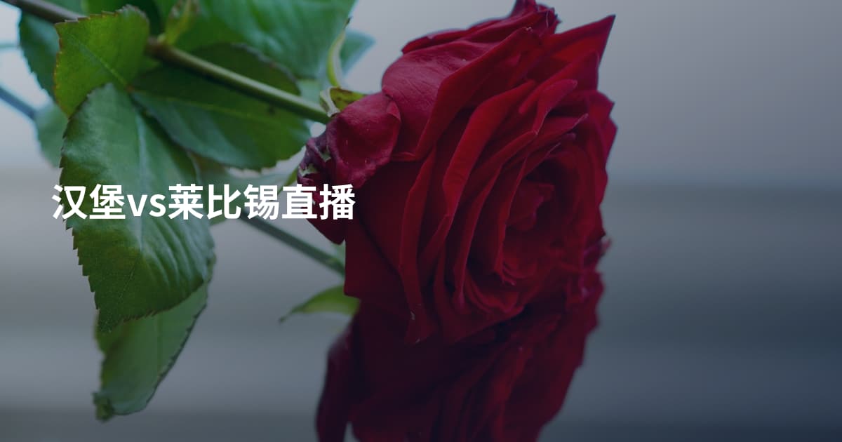 汉堡vs莱比锡直播