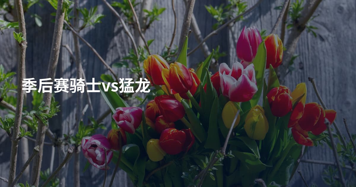 季后赛骑士vs猛龙