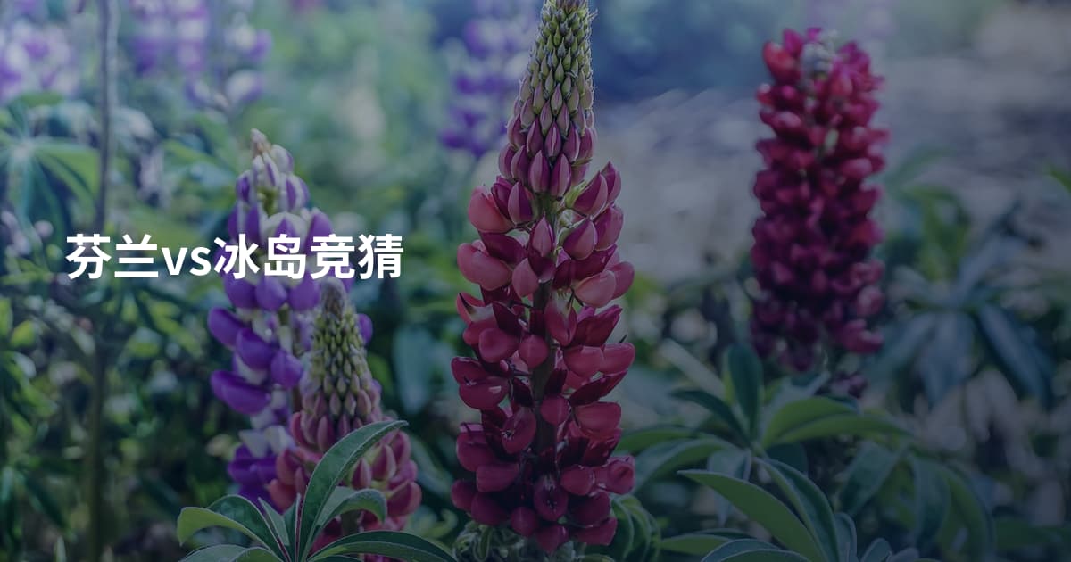 芬兰vs冰岛竞猜