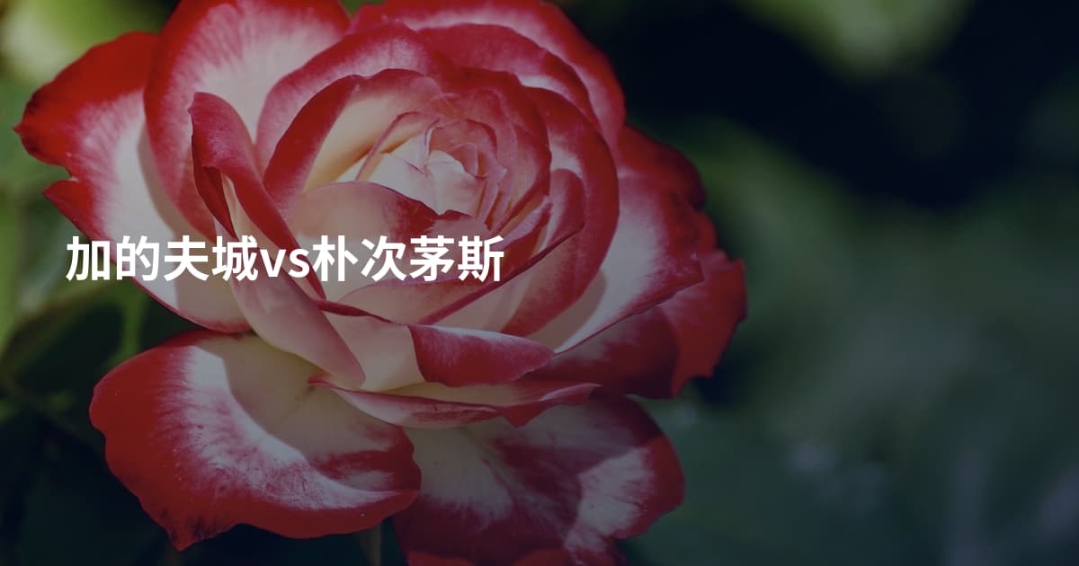 加的夫城vs朴次茅斯