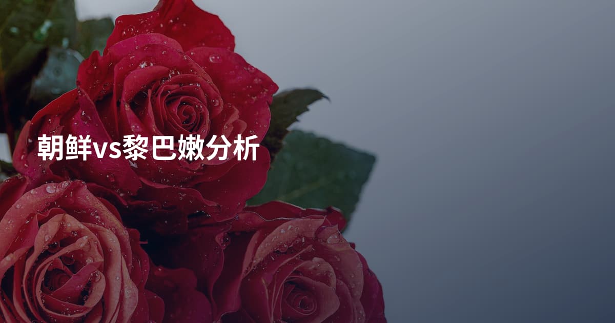朝鲜vs黎巴嫩分析