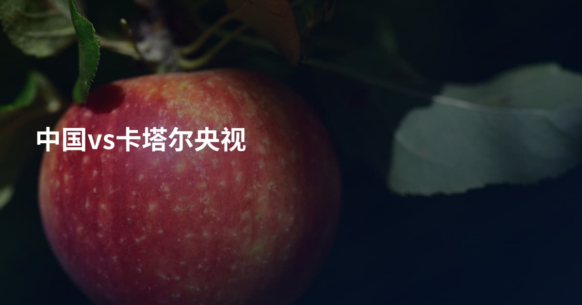 中国vs卡塔尔央视