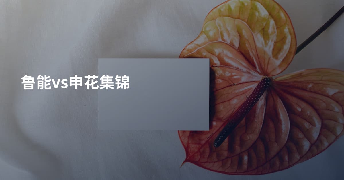 鲁能vs申花集锦