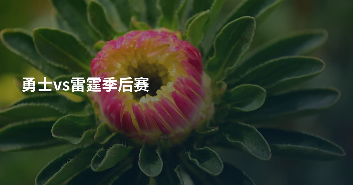 勇士vs雷霆季后赛