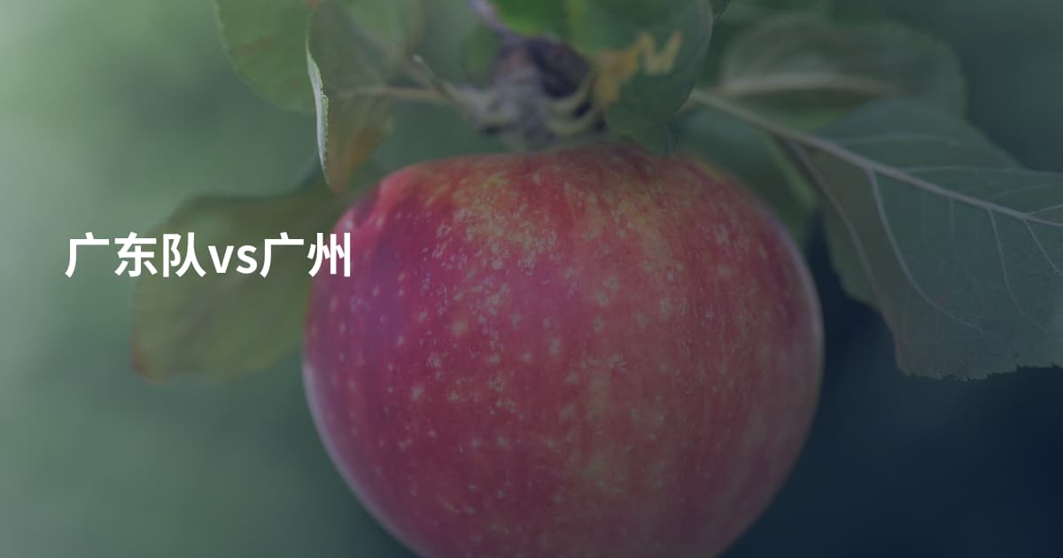 广东队vs广州