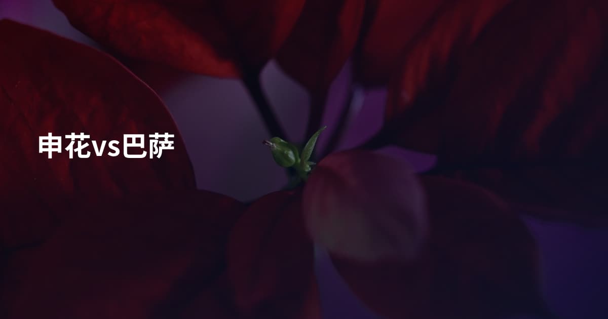 申花vs巴萨