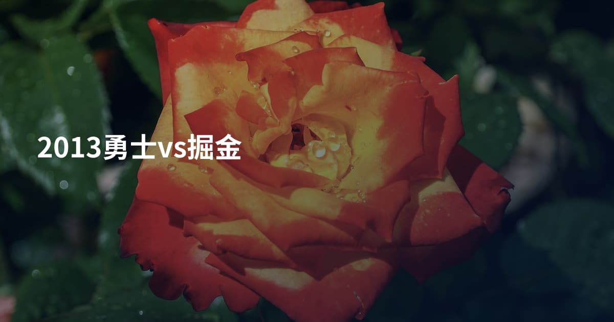 2013勇士vs掘金