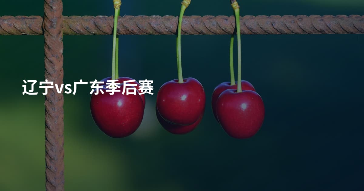 辽宁vs广东季后赛