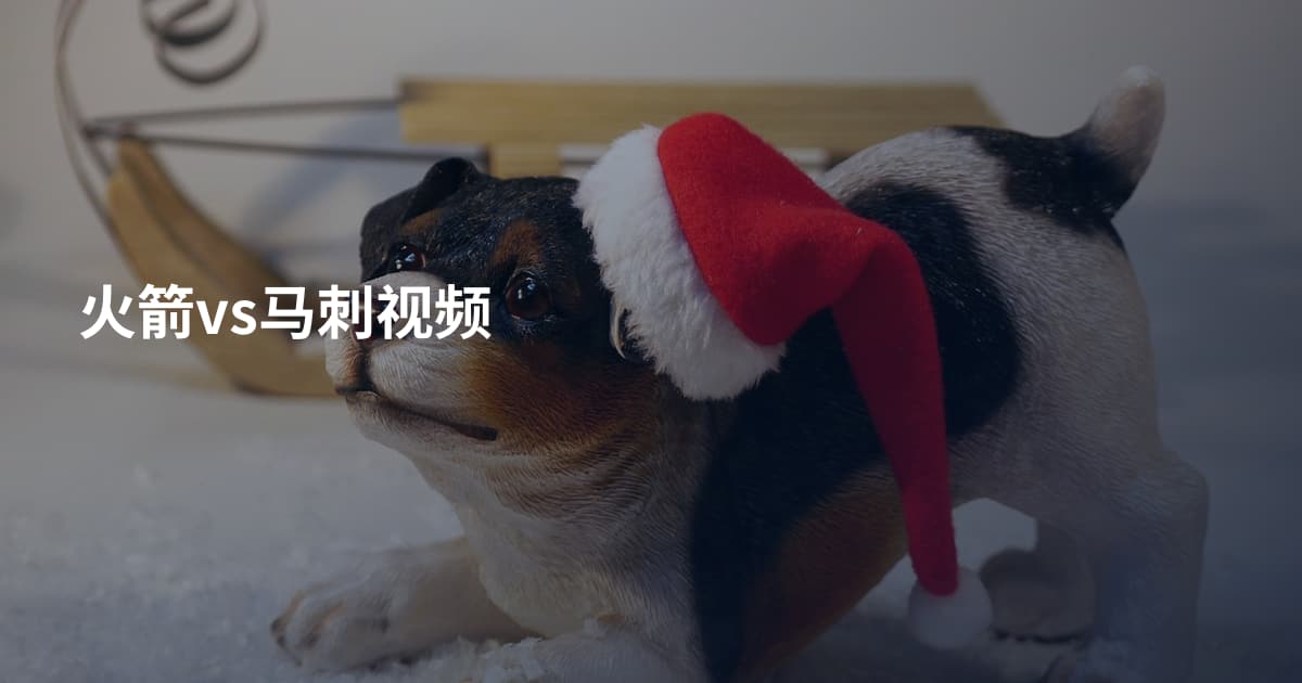 火箭vs马刺视频