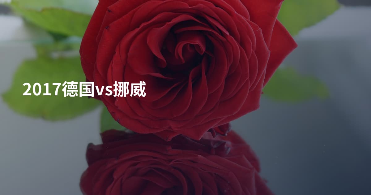 2017德国vs挪威