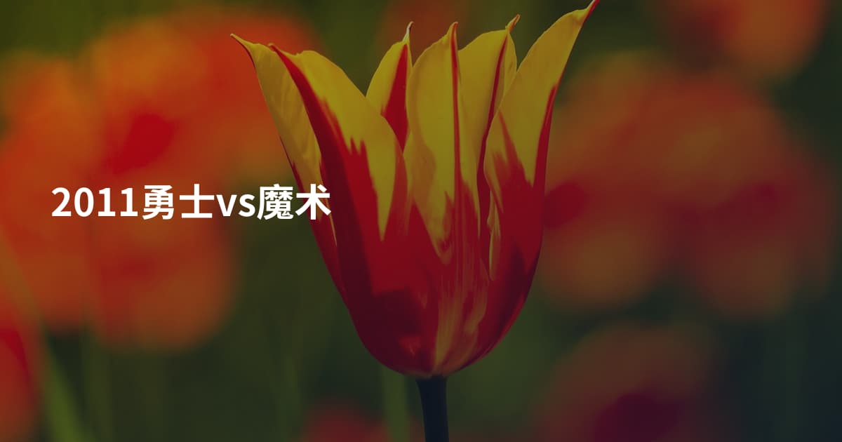 2011勇士vs魔术