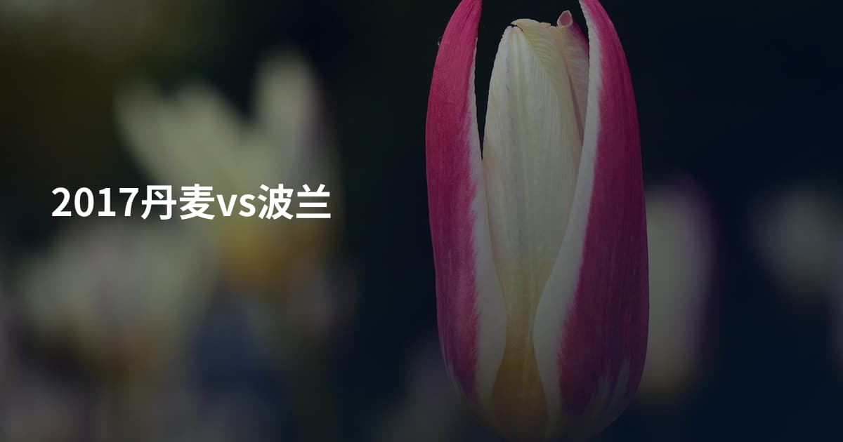 2017丹麦vs波兰