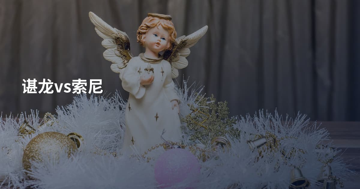 谌龙vs索尼