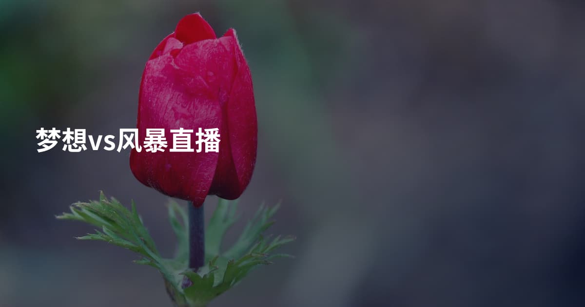 梦想vs风暴直播