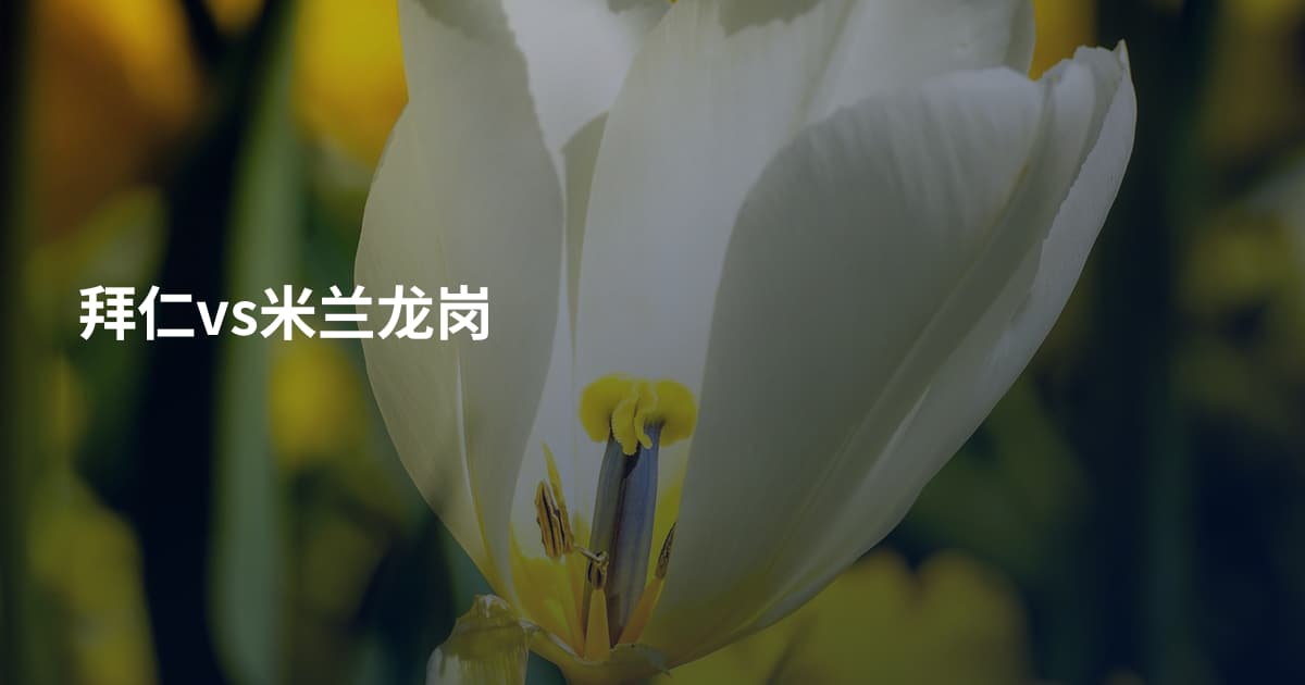 拜仁vs米兰龙岗