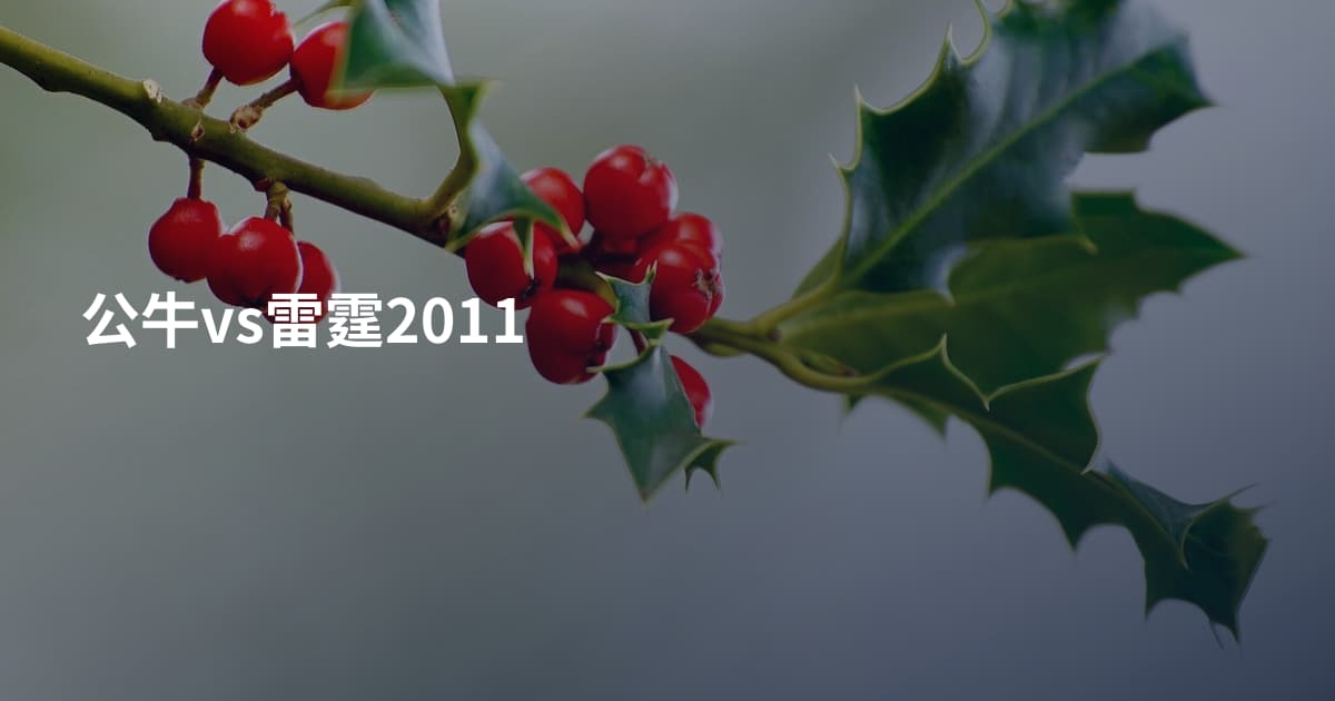 公牛vs雷霆2011