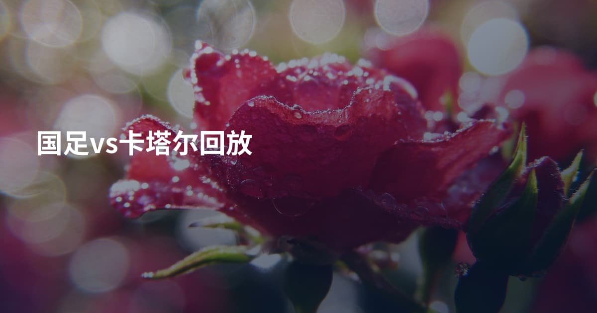 国足vs卡塔尔回放