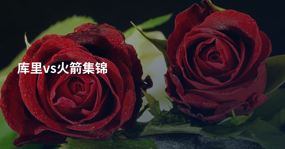 库里vs火箭集锦
