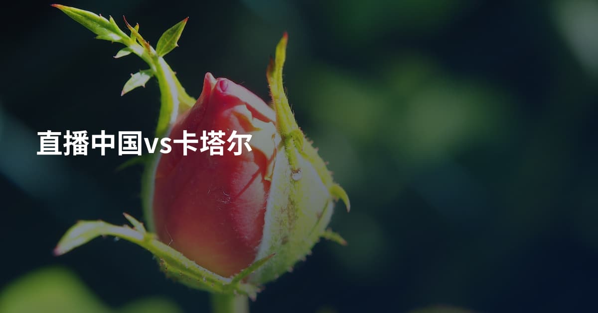 直播中国vs卡塔尔