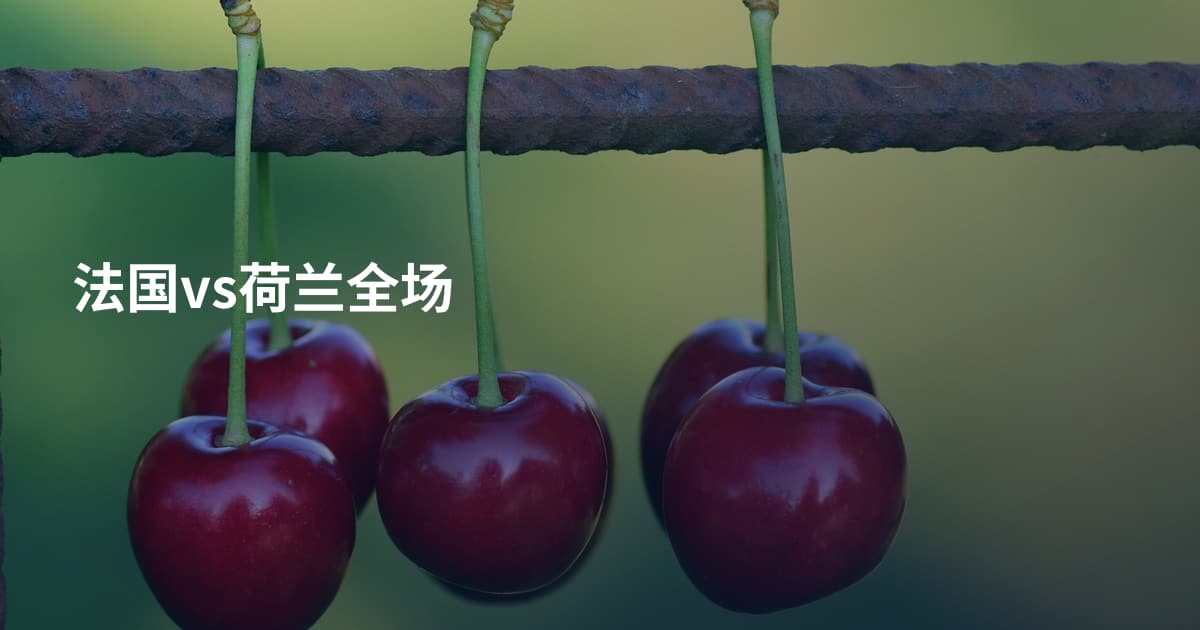 法国vs荷兰全场