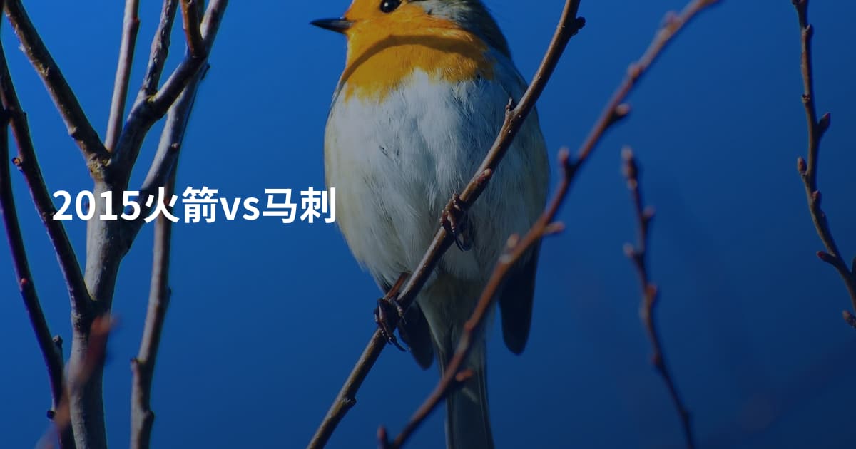 2015火箭vs马刺