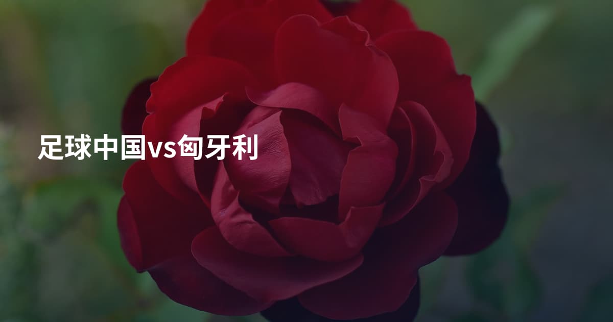 足球中国vs匈牙利