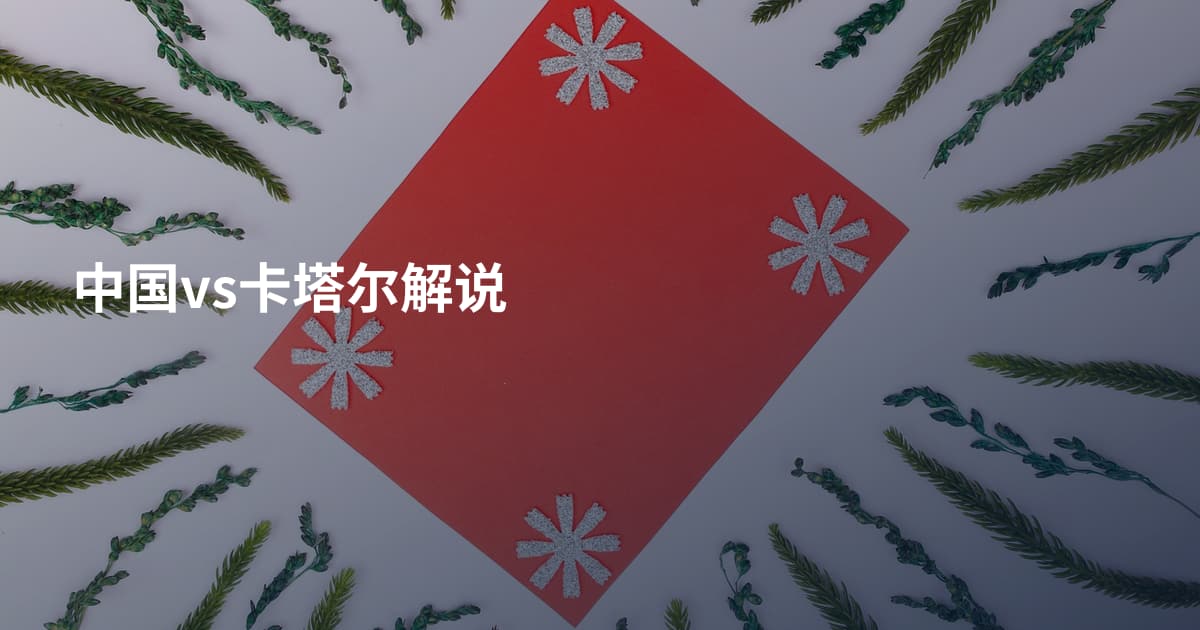 中国vs卡塔尔解说