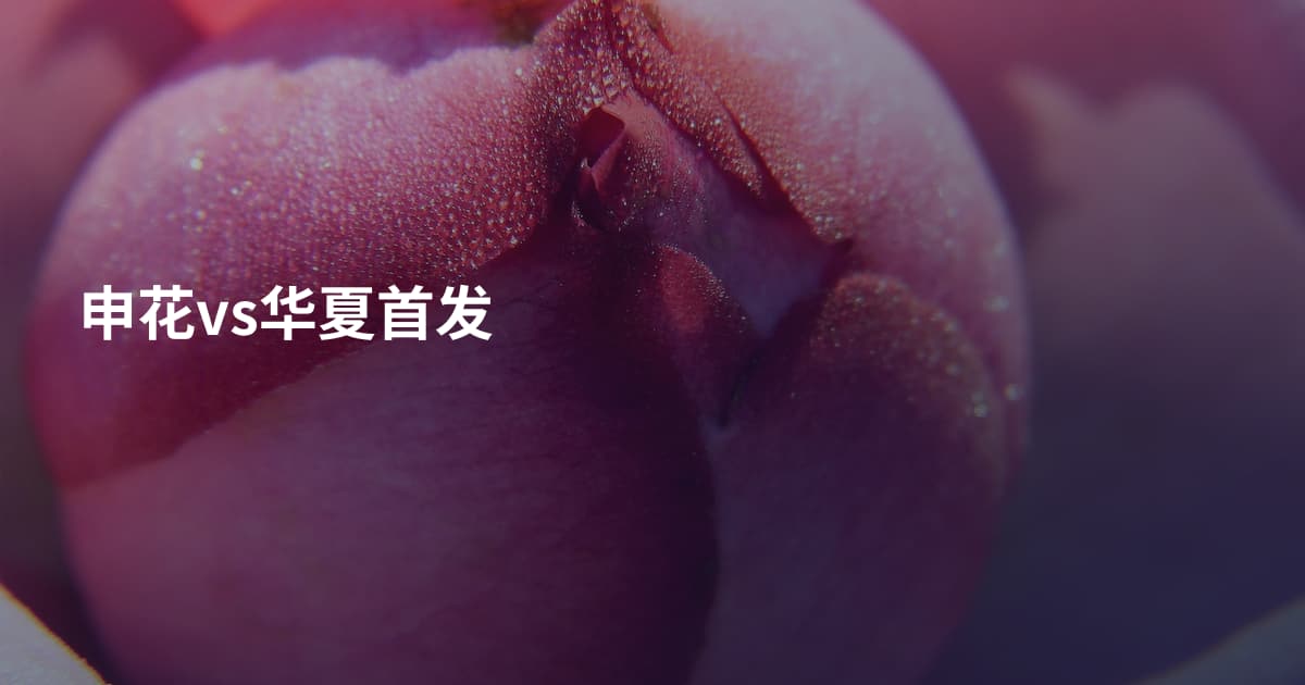 申花vs华夏首发