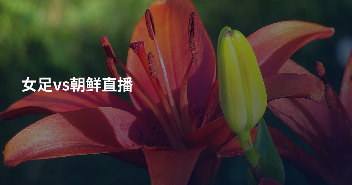 女足vs朝鲜直播