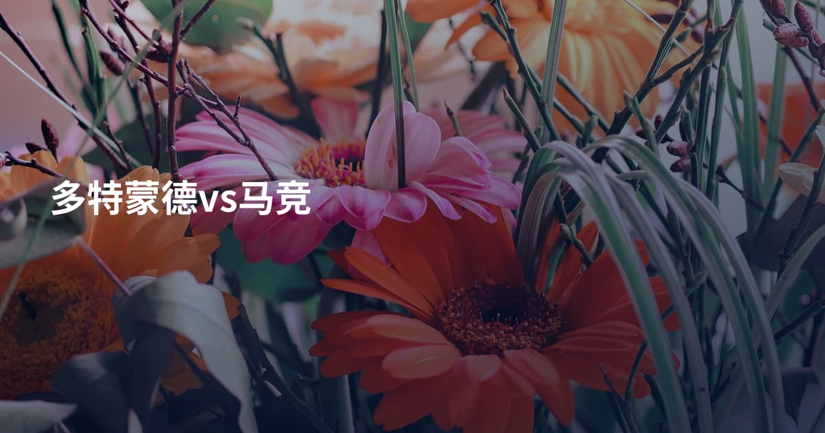 多特蒙德vs马竞