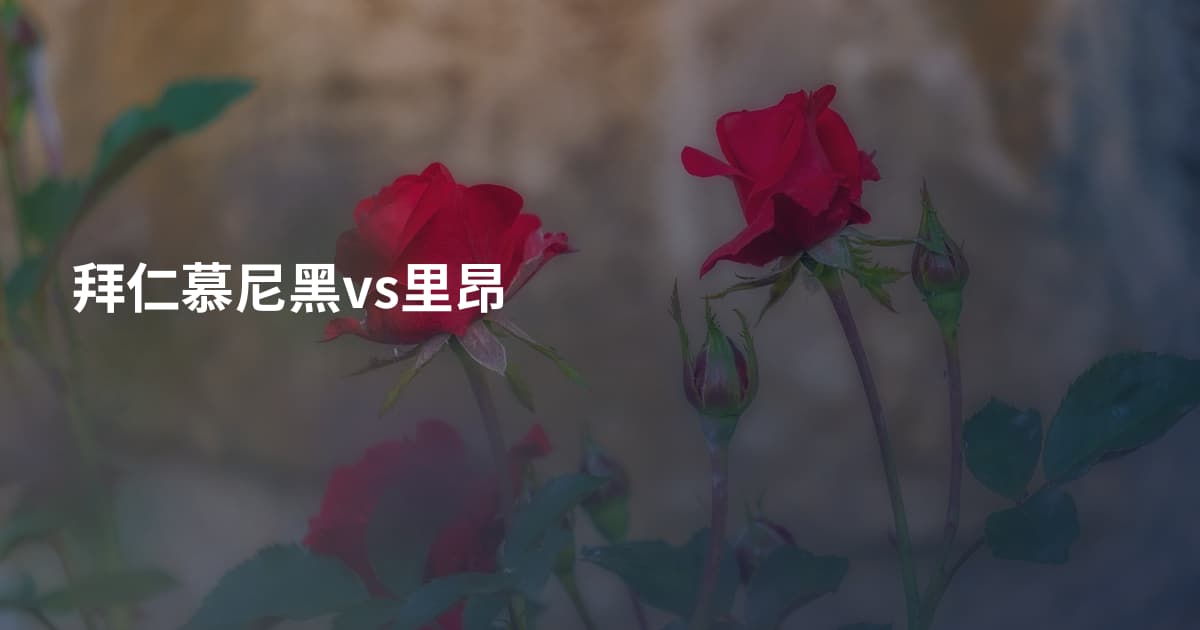 拜仁慕尼黑vs里昂
