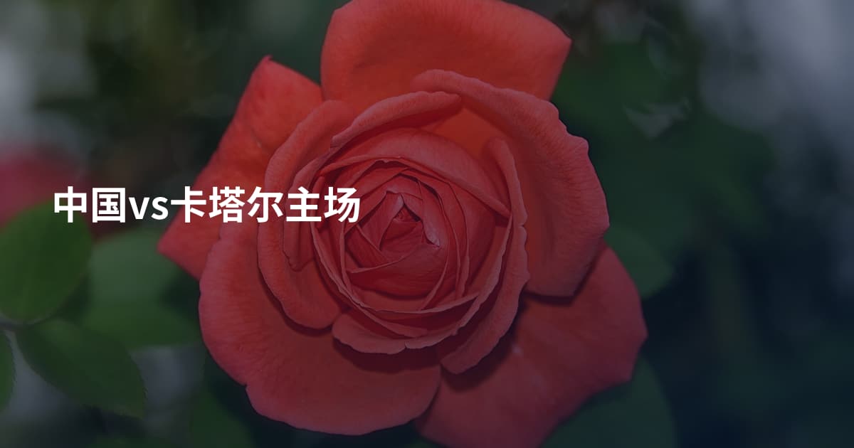 中国vs卡塔尔主场