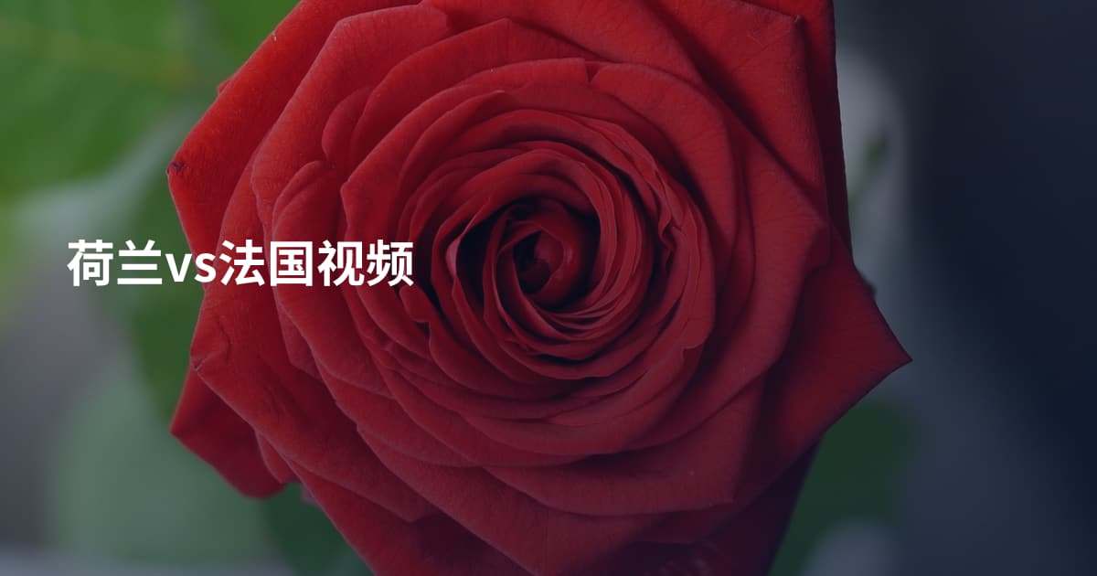 荷兰vs法国视频