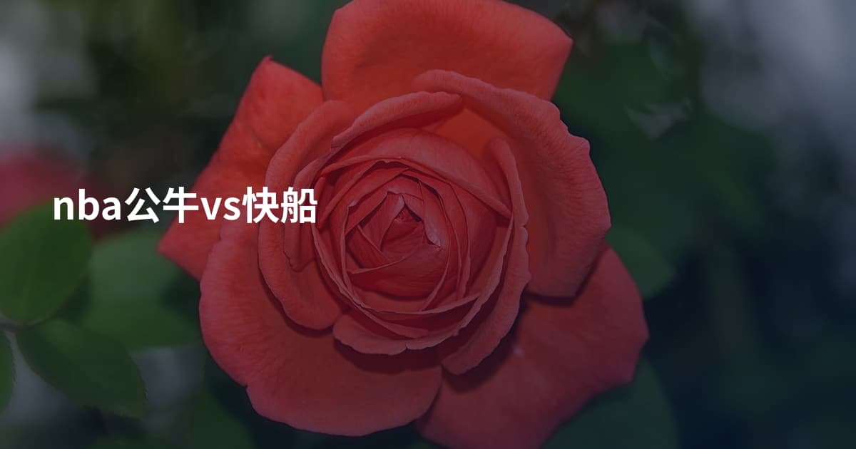 nba公牛vs快船
