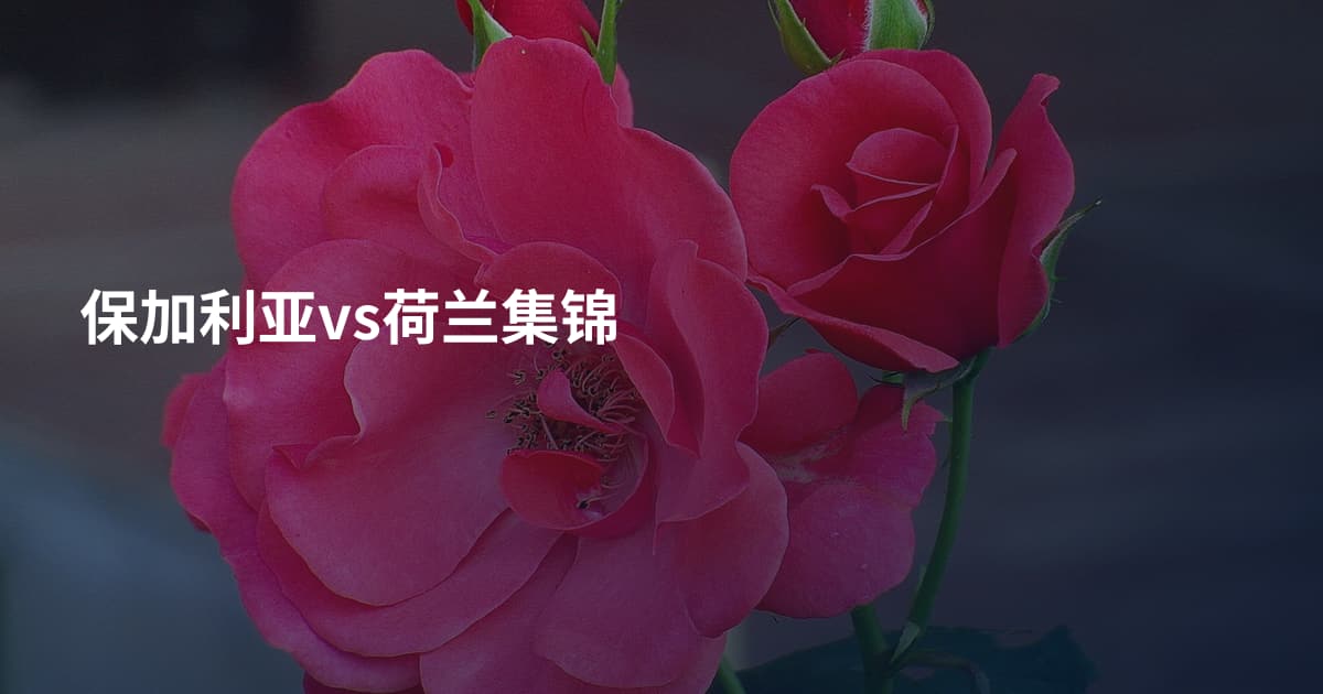 保加利亚vs荷兰集锦