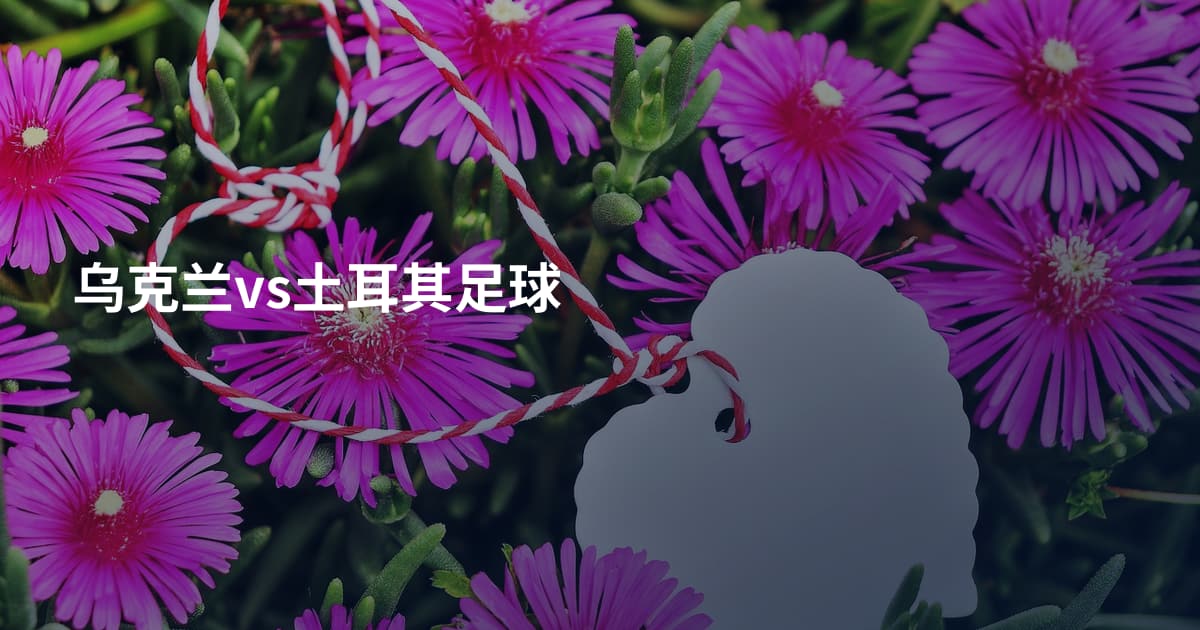 乌克兰vs土耳其足球