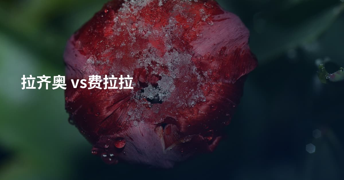 拉齐奥 vs费拉拉
