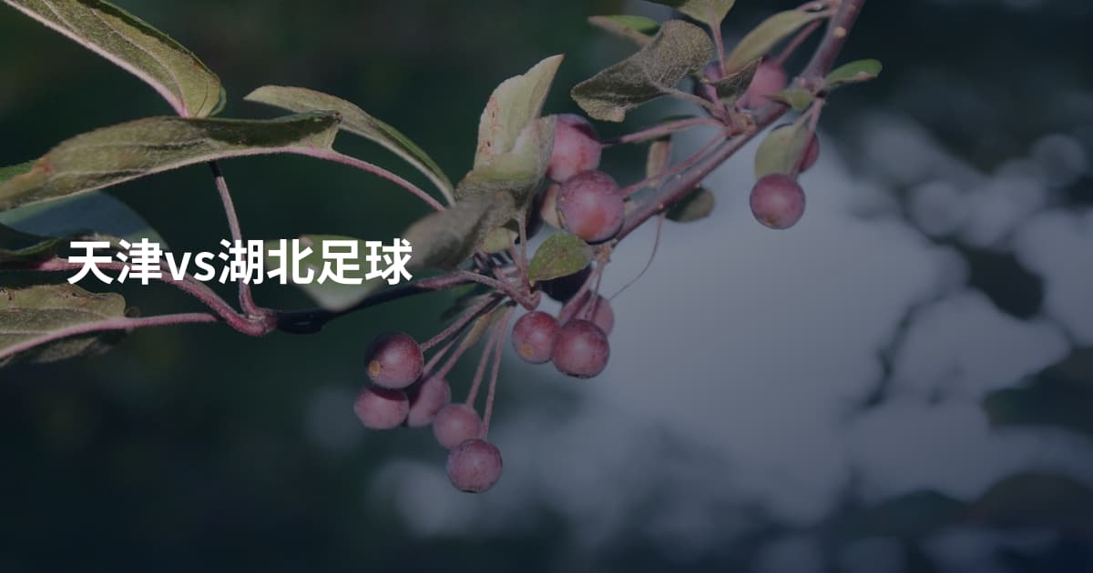 天津vs湖北足球