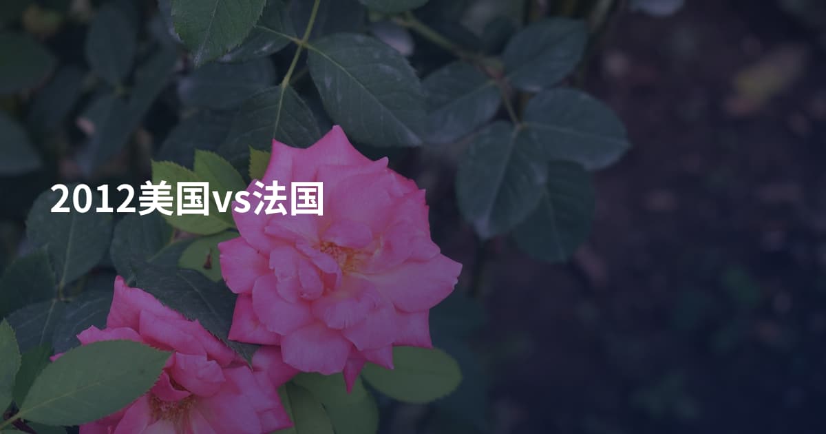 2012美国vs法国