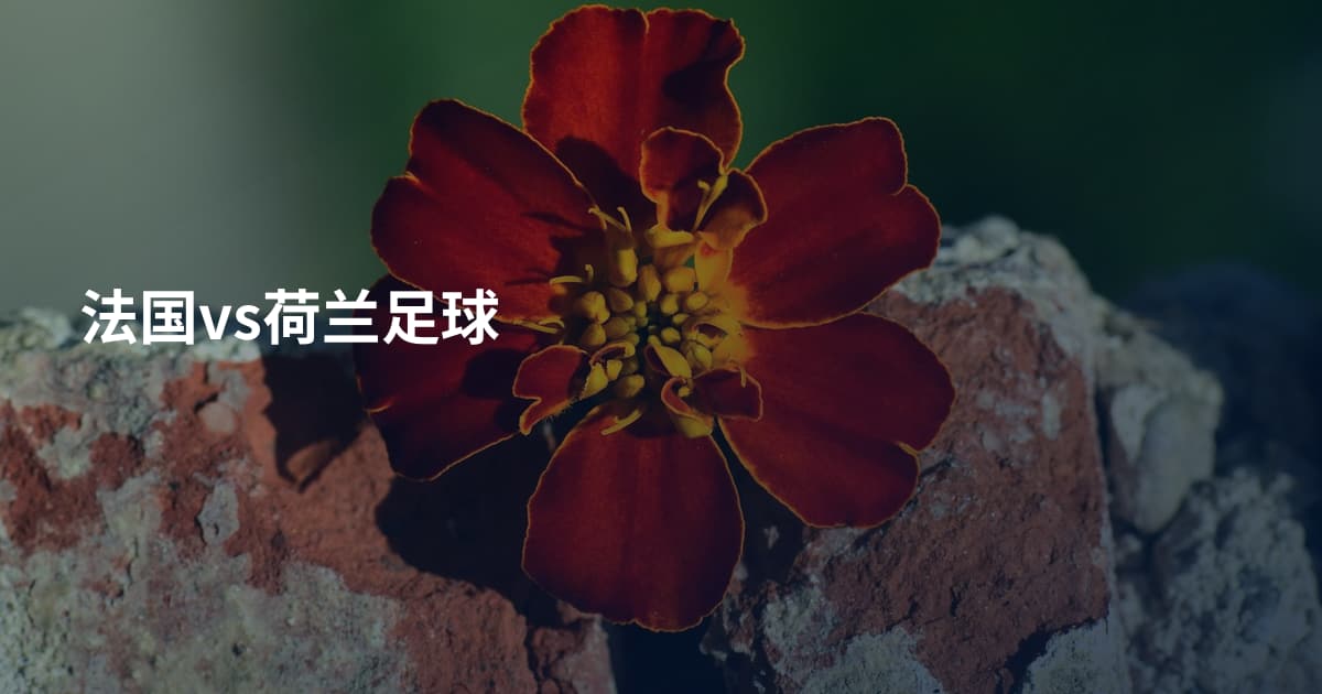 法国vs荷兰足球
