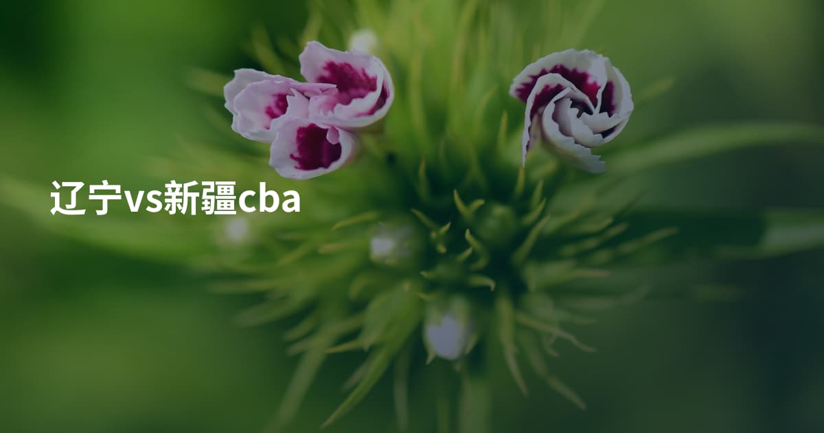 辽宁vs新疆cba