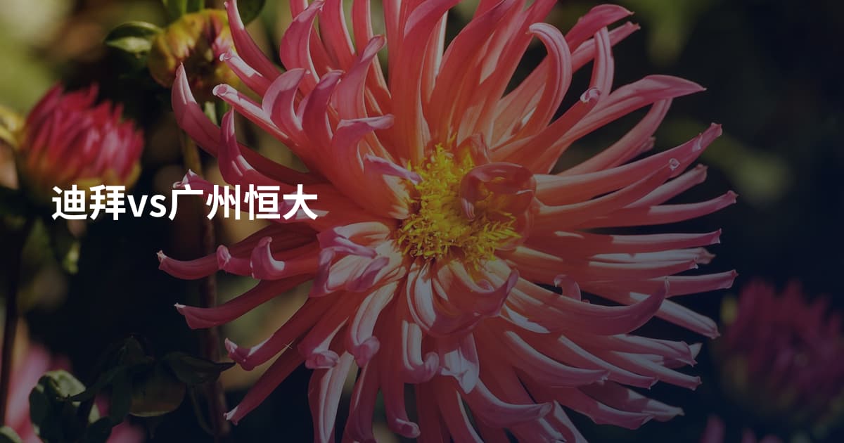 迪拜vs广州恒大
