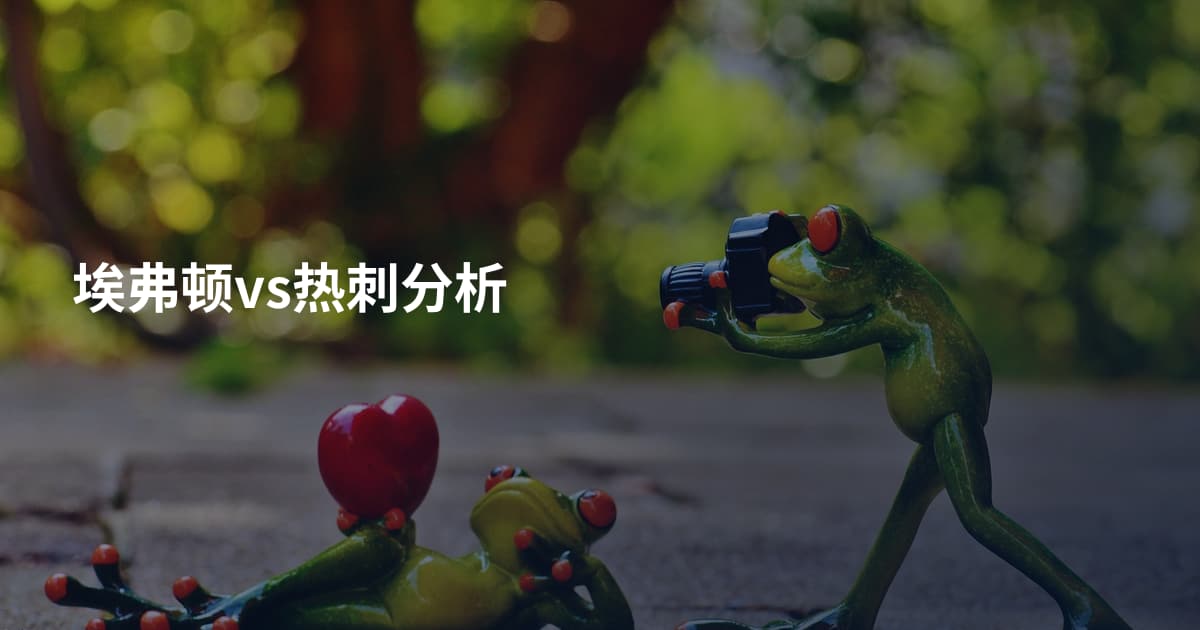 埃弗顿vs热刺分析