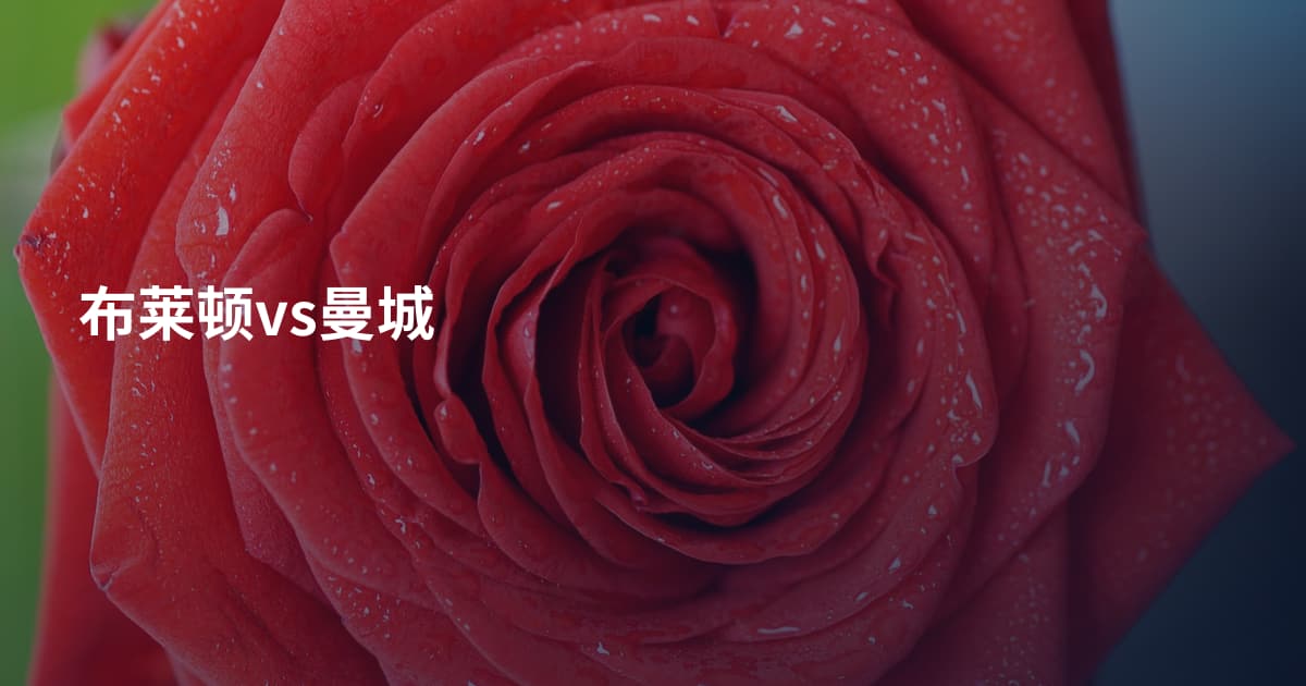 布莱顿vs曼城