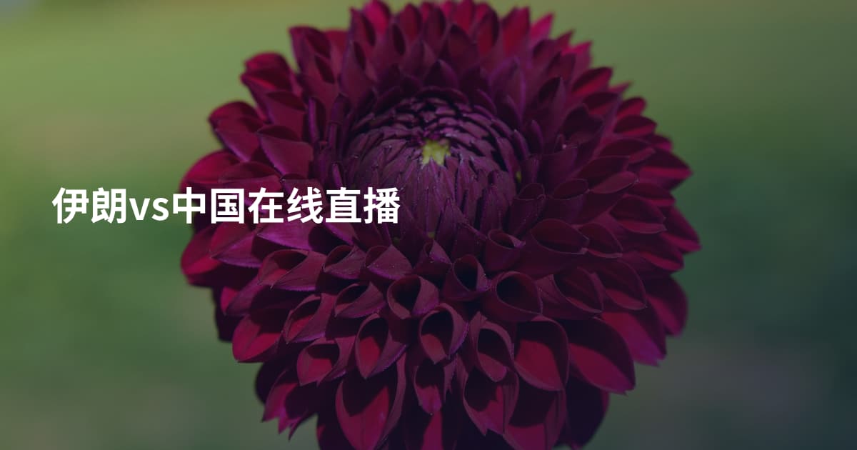 伊朗vs中国在线直播