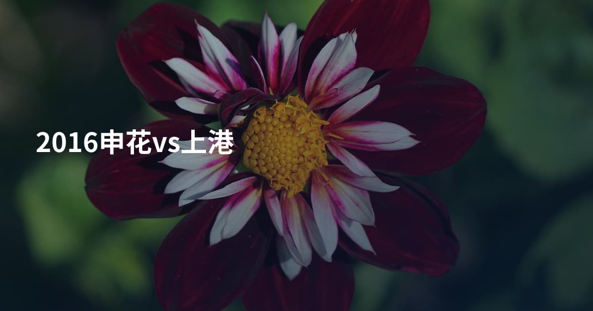 2016申花vs上港