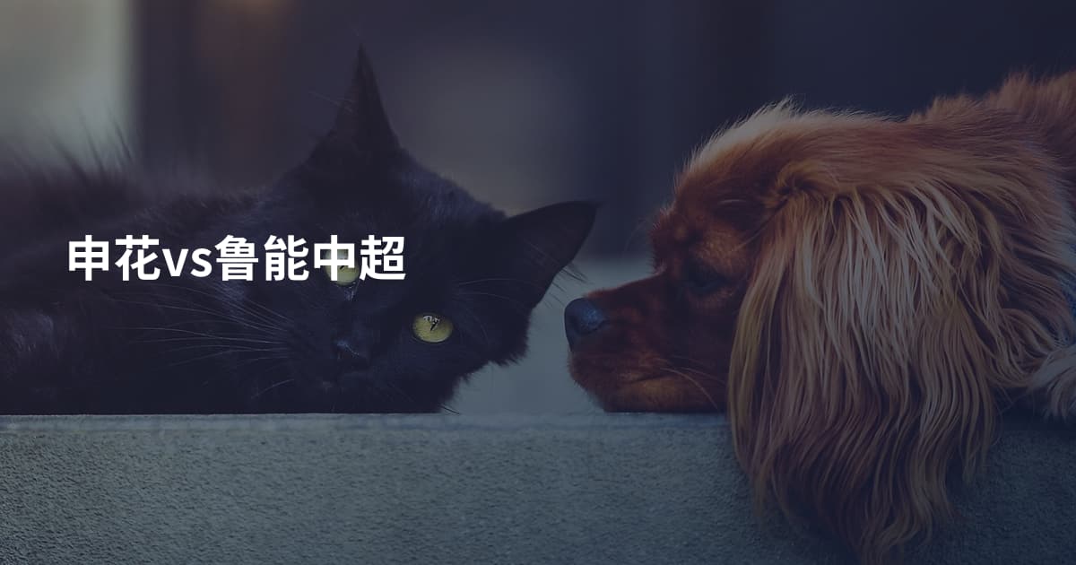 申花vs鲁能中超
